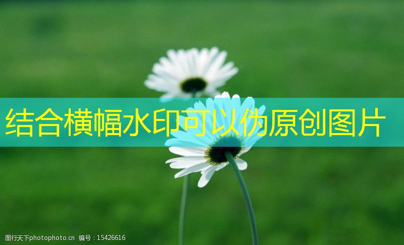 企業(yè)文化與門禁考勤管理的關系