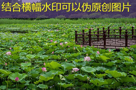 企業門禁考勤管理的關鍵要素