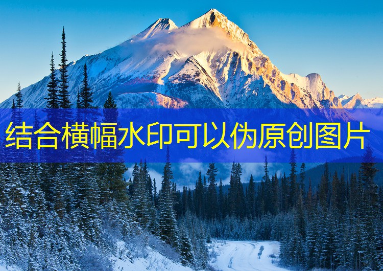 停車道閘在酒店行業的應用