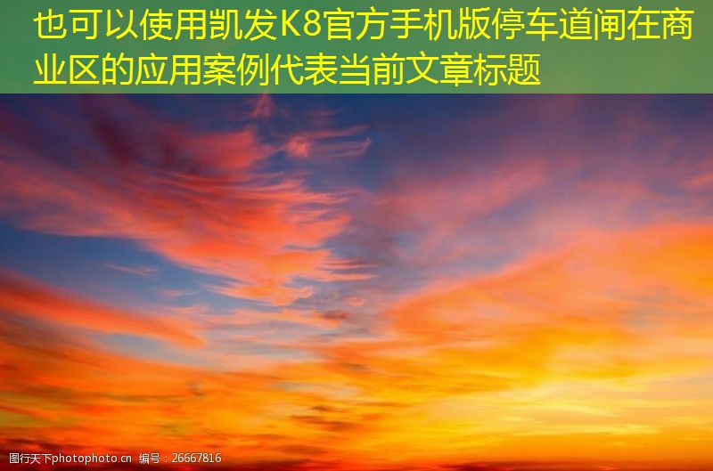 停車道閘在商業區的應用案例