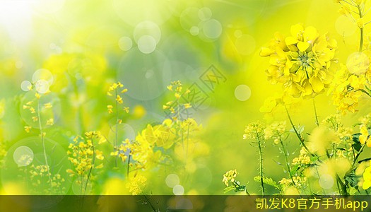 利用集團電話實現團隊協作新模式
