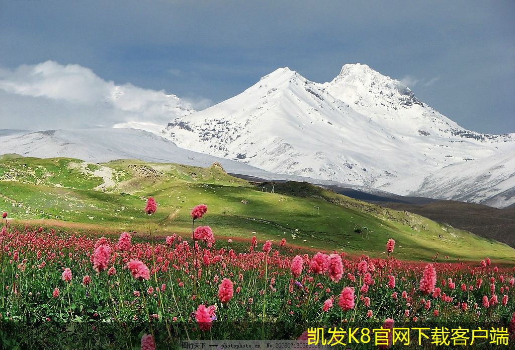 可視對講與智能手機的結合應用